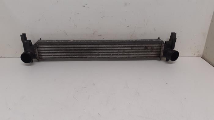 Gebruikte Intercooler Audi A1 (8X1/8XK) 1.6 TDI 16V Prijs € 50,00 Margeregeling aangeboden door Autodemontage van de Laar