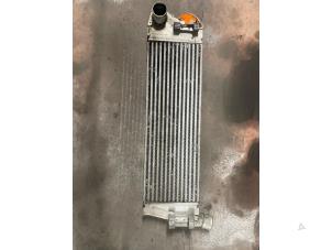 Gebruikte Intercooler Renault Grand Scénic II (JM) 1.9 dCi 120 Prijs € 90,00 Margeregeling aangeboden door Autodemontage van de Laar