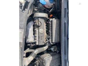 Gebruikte Motor Volkswagen Golf Plus (5M1/1KP) 1.4 16V Prijs € 900,00 Margeregeling aangeboden door Autodemontage van de Laar