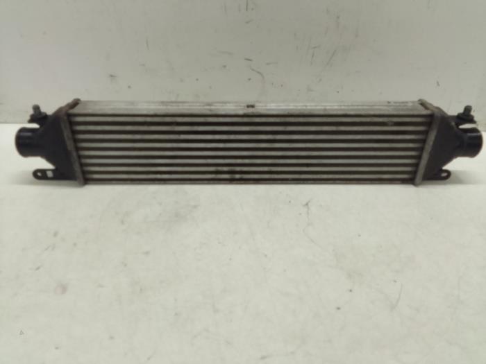 Gebruikte Intercooler Opel Combo 1.6 CDTI 16V Prijs € 125,00 Margeregeling aangeboden door Autodemontage van de Laar