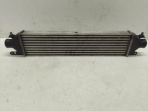 Gebruikte Intercooler Opel Combo 1.6 CDTI 16V Prijs € 125,00 Margeregeling aangeboden door Autodemontage van de Laar