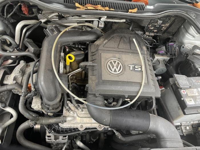 Gebruikte Motor Volkswagen Polo V (6R) 1.0 TSI 12V BlueMotion Prijs € 750,00 Margeregeling aangeboden door Autodemontage van de Laar