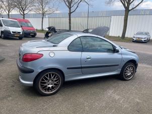 Gebruikte Uitlaat Middendemper Peugeot 206 CC (2D) 1.6 16V Prijs € 50,00 Margeregeling aangeboden door Autodemontage van de Laar