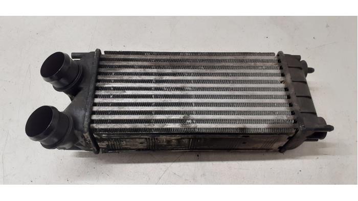Gebruikte Intercooler Peugeot 5008 I (0A/0E) 1.6 HDiF 16V Prijs € 70,00 Margeregeling aangeboden door Autodemontage van de Laar