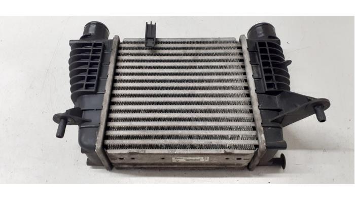 Gebruikte Intercooler Renault Modus/Grand Modus (JP) 1.2 16V TCE 100 Prijs op aanvraag aangeboden door Autodemontage van de Laar