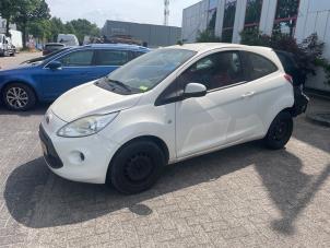Gebruikte Ruit Extra 2Deurs links-achter Ford Ka II 1.2 Prijs € 50,00 Margeregeling aangeboden door Autodemontage van de Laar