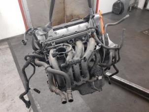 Gebruikte Motor Seat Ibiza IV (6J5) 1.4 16V Prijs € 700,00 Margeregeling aangeboden door Autodemontage van de Laar