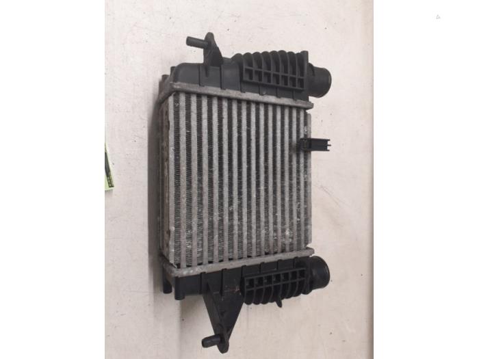 Gebruikte Intercooler Renault Clio III Estate/Grandtour (KR) 1.2 16V TCE 100 Prijs € 30,00 Margeregeling aangeboden door Autodemontage van de Laar