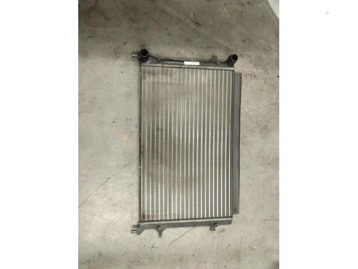 Radiateur van een Volkswagen Caddy III (2KA,2KH,2CA,2CH) 2.0 Ecofuel 2014