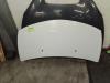 Renault Clio III (BR/CR) 1.2 16V TCe 100 Motorkap