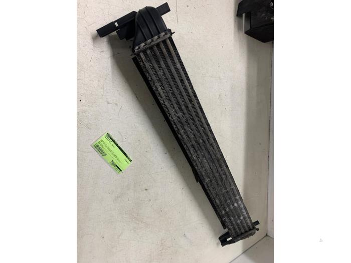 Gebruikte Intercooler Volkswagen Polo V (6R) 1.2 TDI 12V BlueMotion Prijs op aanvraag aangeboden door Autodemontage van de Laar