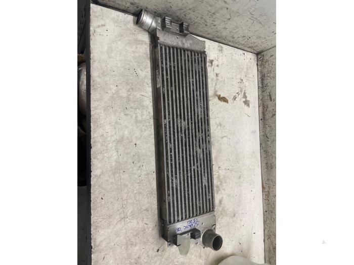 Gebruikte Intercooler Renault Megane II (BM/CM) 1.5 dCi 100 Prijs € 25,00 Margeregeling aangeboden door Autodemontage van de Laar