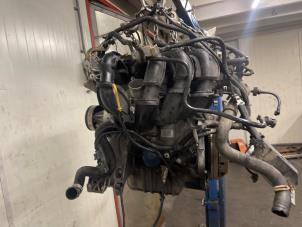 Gebruikte Motor Ford Focus 2 1.6 16V Prijs € 650,00 Margeregeling aangeboden door Autodemontage van de Laar