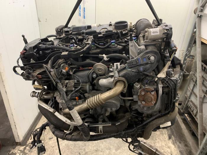 Gebruikte Motor Ford Transit Courier 1.5 TDCi 75 Prijs € 1.750,00 Margeregeling aangeboden door Autodemontage van de Laar