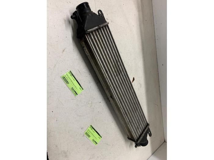Gebruikte Intercooler Opel Combo 1.6 CDTI 16V Prijs € 50,00 Margeregeling aangeboden door Autodemontage van de Laar