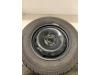 Renault Trafic (1FL/2FL/3FL/4FL) 2.0 dCi 16V 110 Velg + Winterband
