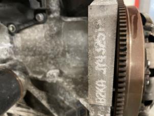 Gebruikte Motor Ford Ka+ 1.2 Ti-VCT Prijs € 1.000,00 Margeregeling aangeboden door Autodemontage van de Laar