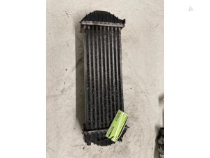 Gebruikte Intercooler Mercedes Citan (415.6) 1.5 108 CDI Euro 6 Prijs € 70,00 Margeregeling aangeboden door Autodemontage van de Laar