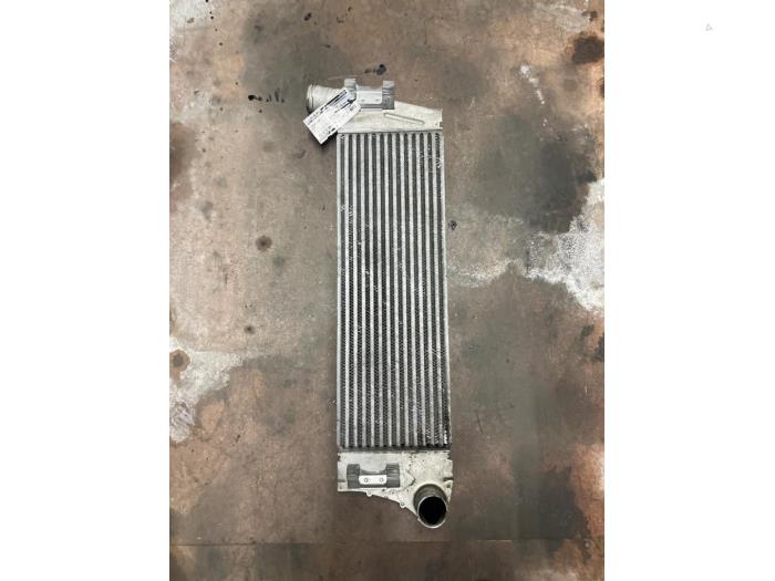 Gebruikte Intercooler Renault Megane II Grandtour (KM) 1.5 dCi 85 Prijs € 90,00 Margeregeling aangeboden door Autodemontage van de Laar