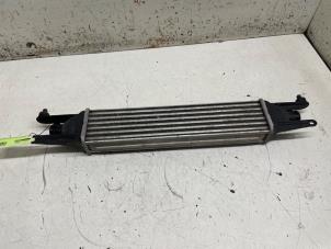 Gebruikte Intercooler Fiat Grande Punto (199) 1.3 JTD Multijet 16V 85 Actual Prijs € 35,00 Margeregeling aangeboden door Autodemontage van de Laar