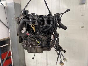 Gebruikte Motor Ford Fiesta 6 (JA8) 1.25 16V Prijs € 700,00 Margeregeling aangeboden door Autodemontage van de Laar