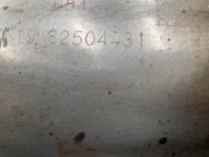 Gebruikte Katalysator Renault Trafic (1FL/2FL/3FL/4FL) 2.0 dCi 16V 120 Prijs € 500,00 Margeregeling aangeboden door Autodemontage van de Laar