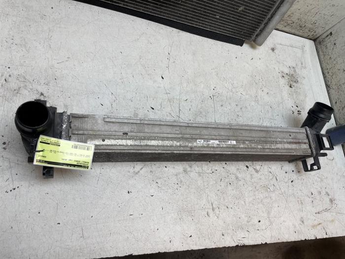 Gebruikte Intercooler Renault Scénic III (JZ) 1.2 16V TCe 130 Prijs op aanvraag aangeboden door Autodemontage van de Laar