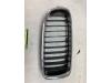 BMW 3 serie Touring (F31) 316d 2.0 16V Grille