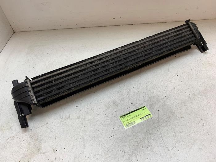 Gebruikte Intercooler Volkswagen Polo V (6R) 1.2 TDI 12V BlueMotion Prijs op aanvraag aangeboden door Autodemontage van de Laar