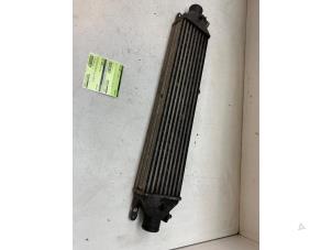 Gebruikte Intercooler Opel Combo 1.3 CDTI 16V ecoFlex Prijs € 40,00 Margeregeling aangeboden door Autodemontage van de Laar