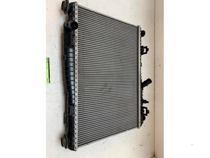 Gebruikte Radiateur Ford Fiesta 6 (JA8) 1.25 16V Prijs € 50,00 Margeregeling aangeboden door Autodemontage van de Laar