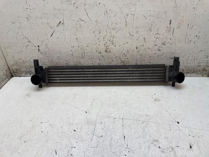 Gebruikte Intercooler Volkswagen Polo V (6R) 1.2 TDI 12V BlueMotion Prijs € 75,00 Margeregeling aangeboden door Autodemontage van de Laar