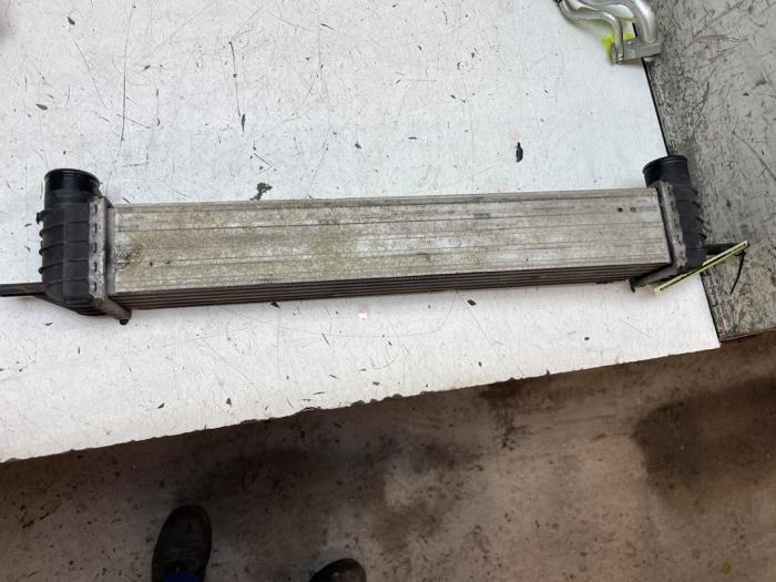 Gebruikte Intercooler Fiat Fiorino (225) 1.3 D 16V Multijet Prijs € 50,00 Margeregeling aangeboden door Autodemontage van de Laar