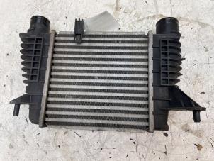 Gebruikte Intercooler Renault Modus/Grand Modus (JP) 1.2 16V Prijs € 50,00 Margeregeling aangeboden door Autodemontage van de Laar