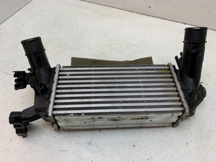 Gebruikte Intercooler Ford EcoSport (JK8) 1.0 EcoBoost 12V 125 Prijs € 75,00 Margeregeling aangeboden door Autodemontage van de Laar