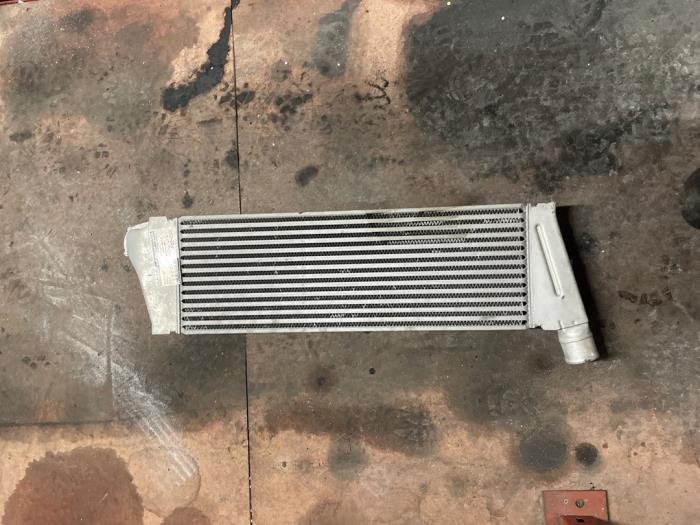 Gebruikte Intercooler Renault Scénic II (JM) 1.9 dCi 130 Prijs € 140,00 Margeregeling aangeboden door Autodemontage van de Laar