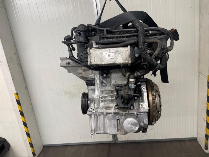 Gebruikte Motor Seat Ibiza V (KJB) 1.0 TSI 12V Prijs € 1.000,00 Margeregeling aangeboden door Autodemontage van de Laar