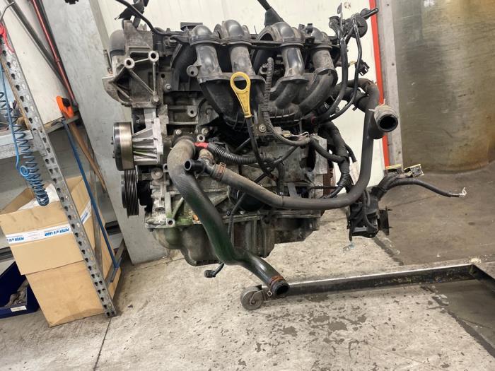 Gebruikte Motor Ford Fiesta 6 (JA8) 1.25 16V Prijs € 600,00 Margeregeling aangeboden door Autodemontage van de Laar
