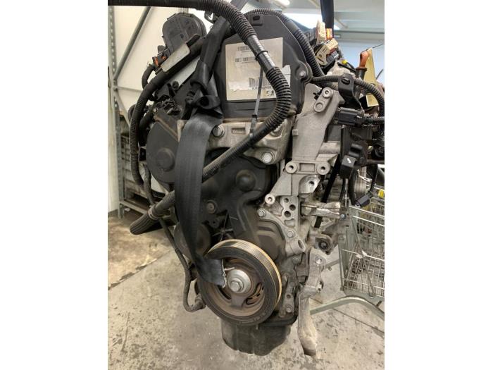 Gebruikte Motor Citroen Berlingo 1.6 Hdi 75 Prijs € 1.000,00 Margeregeling aangeboden door Autodemontage van de Laar