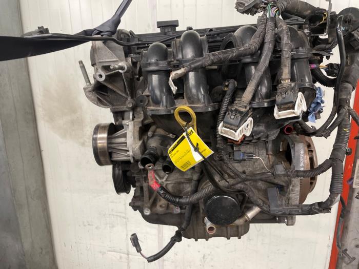 Gebruikte Motor Ford Fiesta 6 (JA8) 1.4 16V Prijs op aanvraag aangeboden door Autodemontage van de Laar