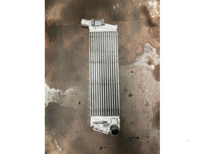 Gebruikte Intercooler Renault Megane II (BM/CM) 1.9 dCi 115 Prijs € 100,00 Margeregeling aangeboden door Autodemontage van de Laar