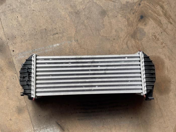Gebruikte Intercooler Renault Kangoo/Grand Kangoo (KW) 1.5 dCi 105 Prijs € 100,00 Margeregeling aangeboden door Autodemontage van de Laar