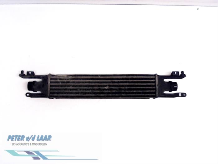 Gebruikte Intercooler Volkswagen Polo V (6R) 1.2 12V BlueMotion Technology Prijs € 120,00 Margeregeling aangeboden door Autodemontage van de Laar