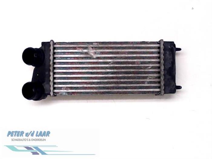 Gebruikte Intercooler Peugeot 307 Break (3E) 1.6 HDiF 110 16V Prijs € 70,00 Margeregeling aangeboden door Autodemontage van de Laar