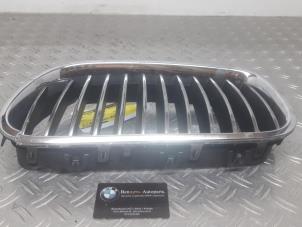 Gebruikte Grille BMW 5-Serie Prijs op aanvraag aangeboden door Benzon Autodemontage