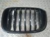 BMW X3 (G01) xDrive 20d 2.0 TwinPower Turbo 16V Grille