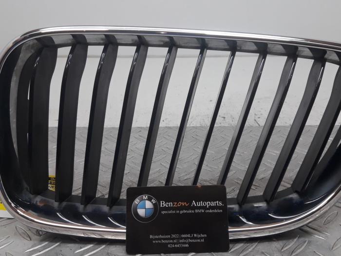 Grille van een BMW 2-Serie 2014