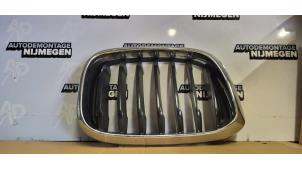 Nieuwe Grille BMW X3 (G01) sDrive 20i 1.6 TwinPower Turbo 16V Prijs op aanvraag aangeboden door Autodemontage Nijmegen