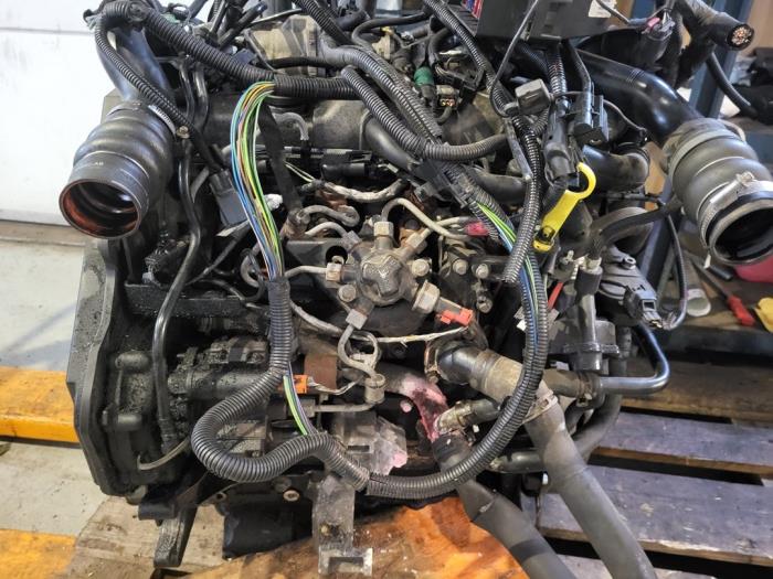 Gebruikte Motor Ford Transit Connect 1.8 TDCi 110 Prijs op aanvraag aangeboden door Autodemontage Nijmegen