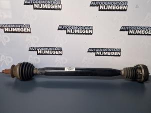 Gebruikte Aandrijfas rechts-voor Volkswagen Polo V (6R) 1.2 12V BlueMotion Technology Prijs op aanvraag aangeboden door Autodemontage Nijmegen